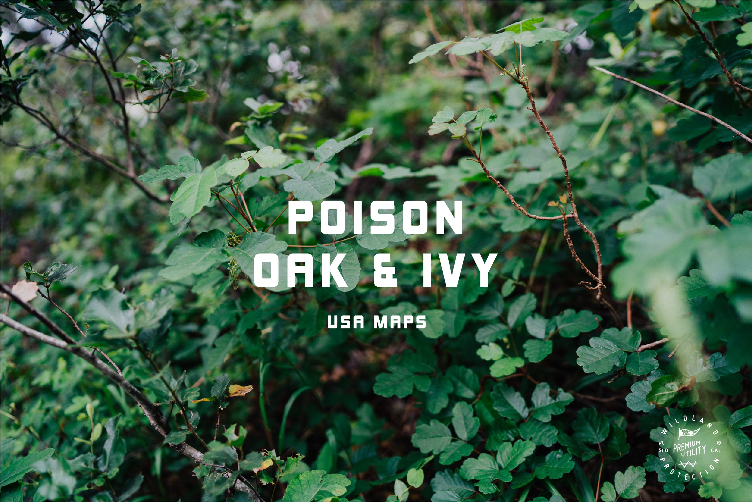 Locations of Poison Oak & Ivy
